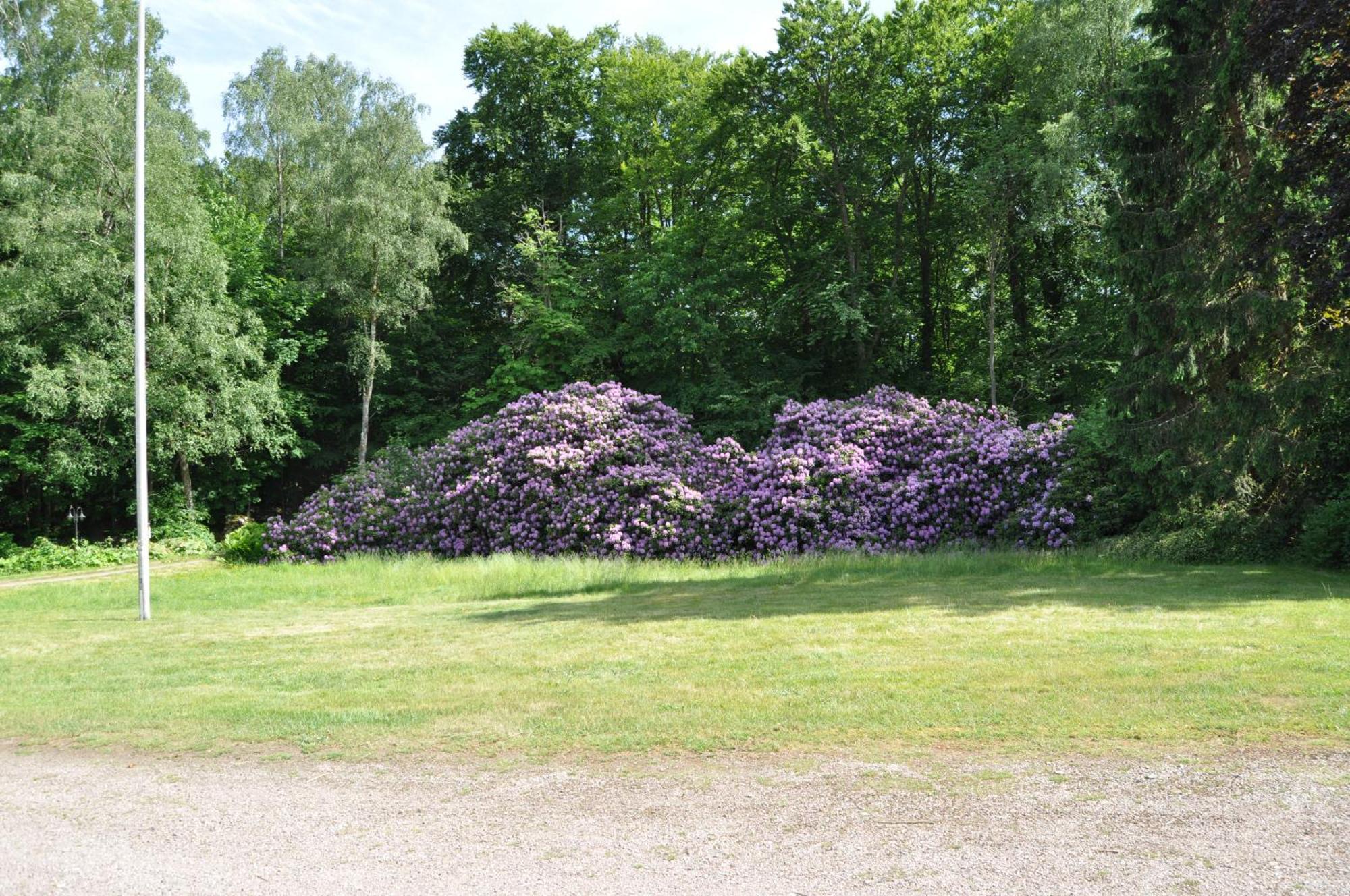 Lodge Langstorp Huvudbyggnad V Flygel