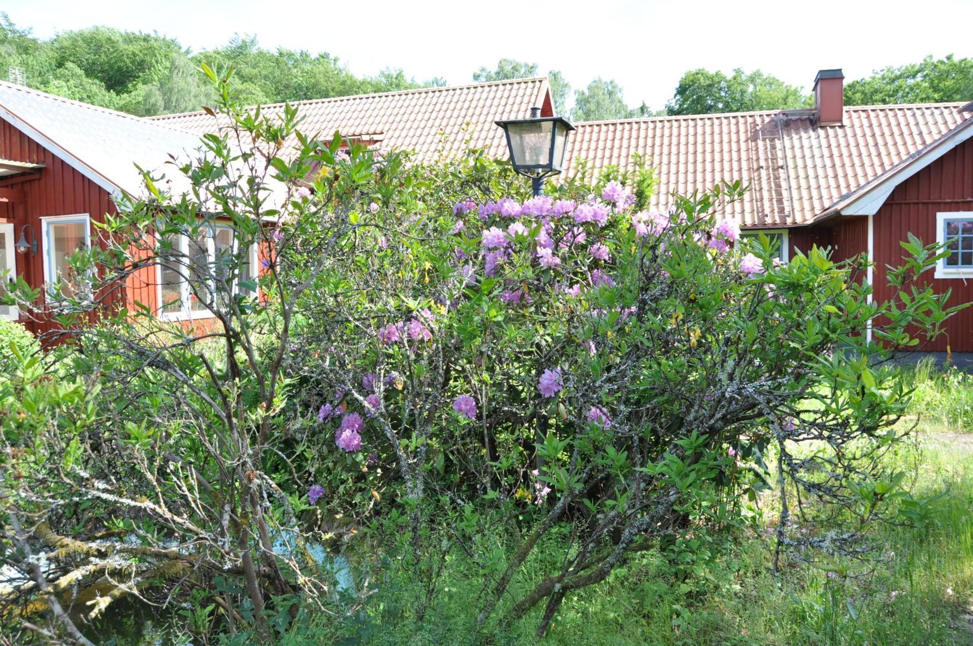Langstorp Huvudbyggnad V Flygel Lodge *